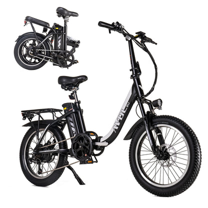 ELCYKEL A21