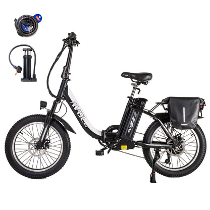 ELCYKEL A21